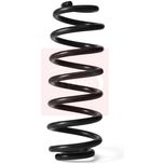 Apec Coil Spring Rear ACS2196