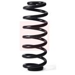 Apec Coil Spring Rear ACS2199