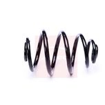 Apec Coil Spring Rear ACS2204