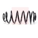 Apec Coil Spring Rear ACS2206