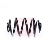 Apec Coil Spring Rear ACS2208