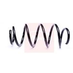 Apec Coil Spring Front ACS2220