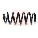 Apec Coil Spring Rear ACS2227