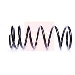 Apec Coil Spring Rear ACS2231