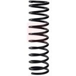 Apec Coil Spring Rear ACS2250