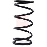 Apec Coil Spring Front ACS2274