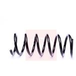 Apec Coil Spring Rear ACS2281