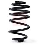 Apec Coil Spring Rear ACS2294