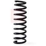Apec Coil Spring Rear ACS2295