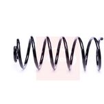 Apec Coil Spring Rear ACS2309