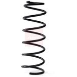 Apec Coil Spring Front ACS2314