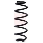 Apec Coil Spring Rear ACS2336