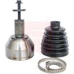 APEC CV Joint ACV1079