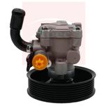 Apec Power Steering Pump APS1117