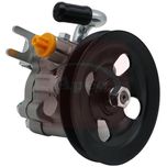Apec Power Steering Pump APS1173