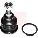 Apec Ball Joint Lower AST0042