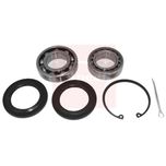 APEC Wheel Bearing Kit Rear AWB1376