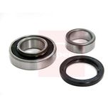 Apec Wheel Bearing Kit AWB1648