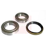 Apec Wheel Bearing Kit AWB1813
