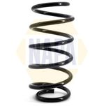 NAPA Coil Spring Front NCS1092