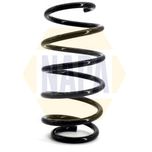 NAPA Coil Spring Front NCS1093
