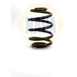 NAPA Coil Spring Rear NCS1146
