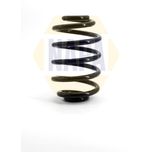 NAPA Coil Spring Rear NCS1149