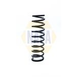 NAPA Coil Spring Rear NCS1167