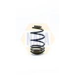 NAPA Coil Spring Rear NCS1244