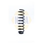 NAPA Coil Spring Rear NCS1263