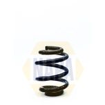 NAPA Coil Spring Rear NCS1290