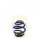 NAPA Coil Spring Rear NCS1296