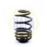 NAPA Coil Spring Rear NCS1312