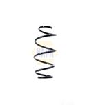 NAPA Coil Spring Front NCS1341