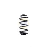 NAPA Coil Spring Rear NCS1371