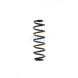 NAPA Coil Spring Rear NCS1380