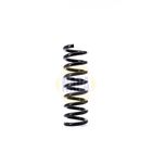 NAPA Coil Spring Rear NCS1383