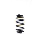 NAPA Coil Spring Rear NCS1392