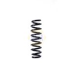 NAPA Coil Spring Rear NCS1393