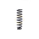 NAPA Coil Spring Rear NCS1396