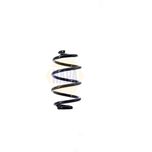 NAPA Coil Spring Rear NCS1413