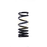 NAPA Coil Spring Rear NCS1420