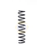NAPA Coil Spring Rear NCS1425