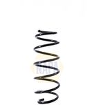 NAPA Coil Spring Front NCS1434