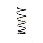 NAPA Coil Spring Front NCS1450