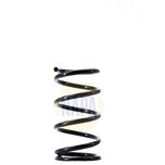 NAPA Coil Spring Rear NCS1478