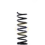 NAPA Coil Spring Rear NCS1484