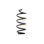 NAPA Coil Spring Front NCS1494
