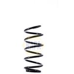NAPA Coil Spring Front NCS1531