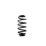 NAPA Coil Spring Rear NCS1533